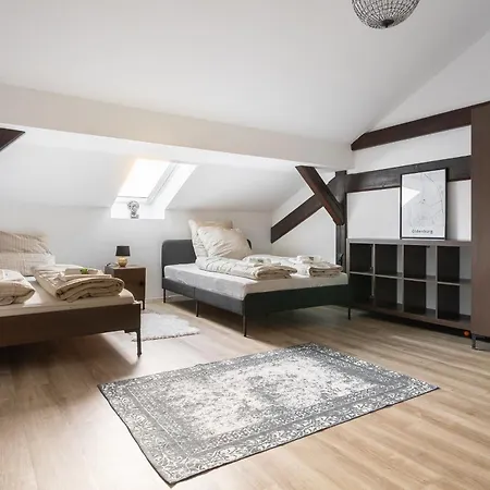 Apartment Loft Am Flötenteich